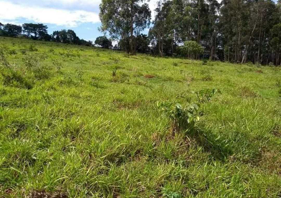 Chácara à venda com 1 quarto, 2510000m² - Foto 3