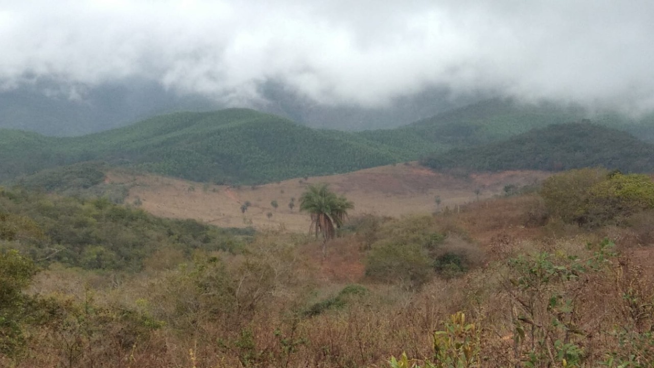 Terreno à venda, 1200000m² - Foto 2