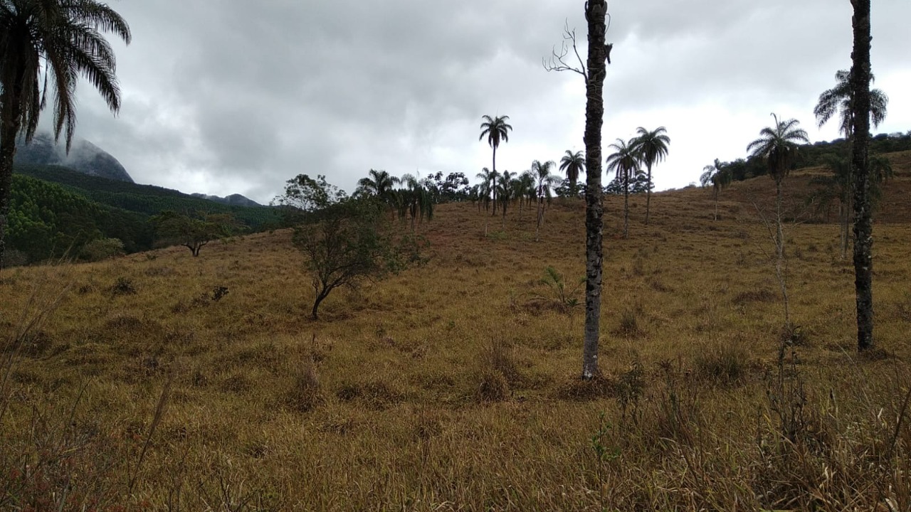 Terreno à venda, 1200000m² - Foto 3