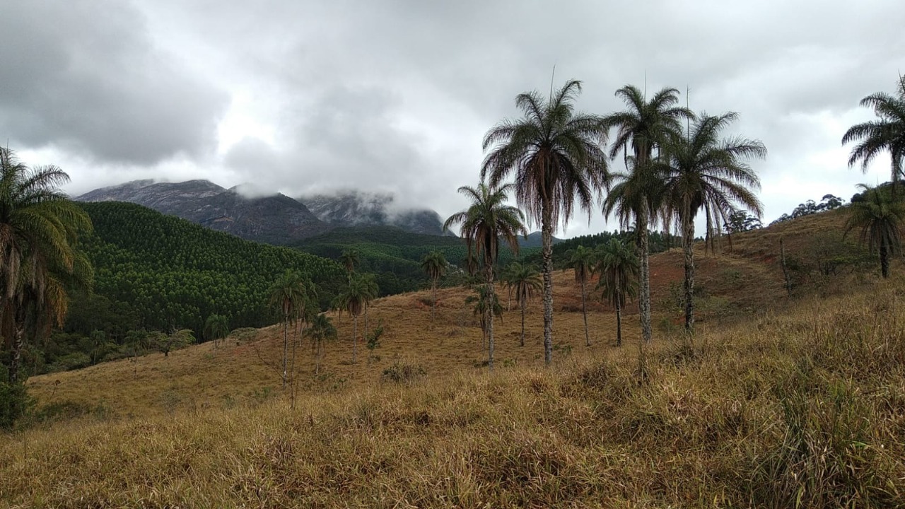 Terreno à venda, 1200000m² - Foto 4