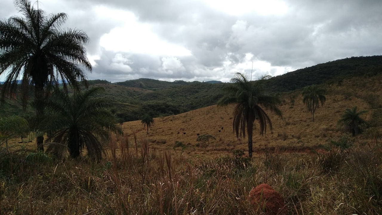 Terreno à venda, 1200000m² - Foto 5