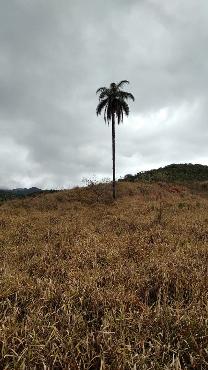 Terreno à venda, 1200000m² - Foto 7