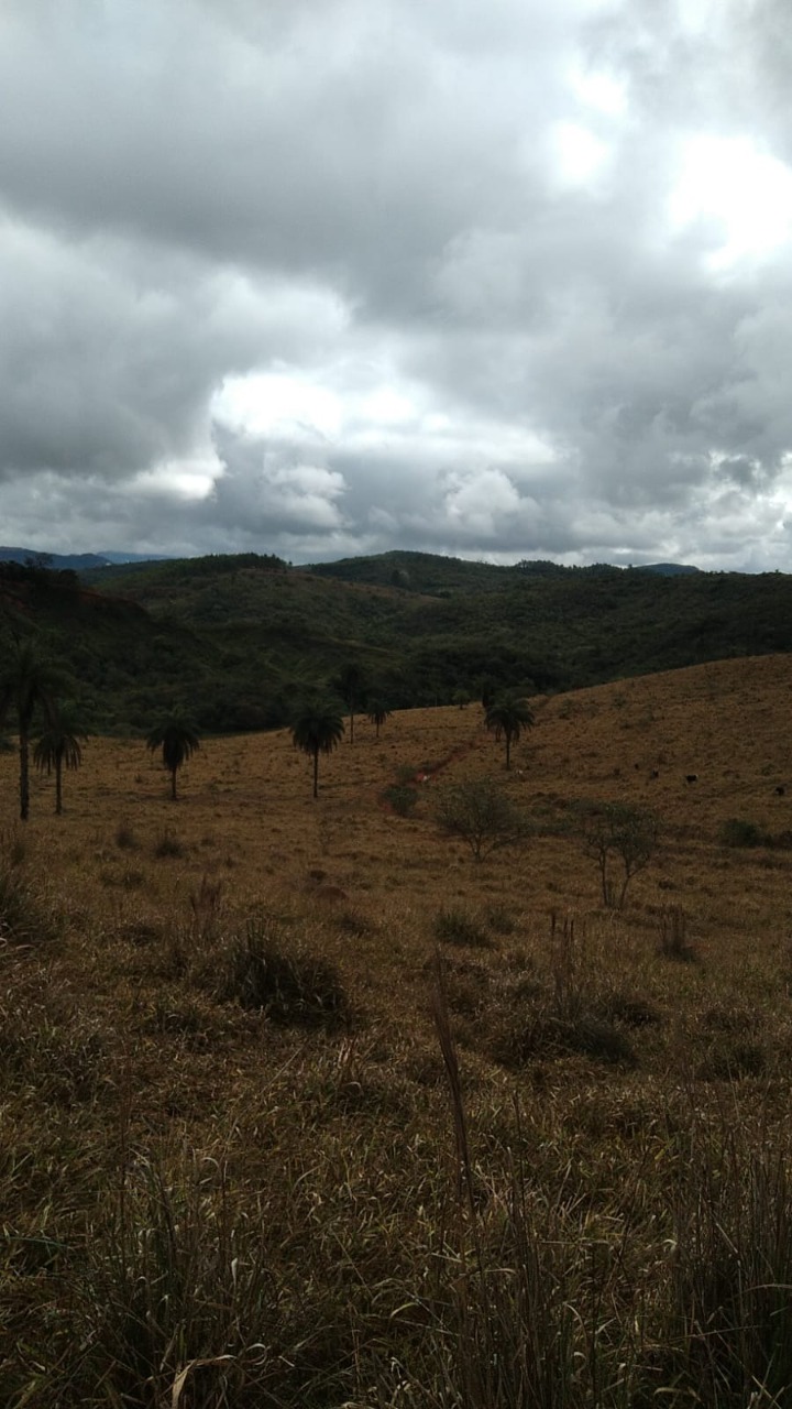 Terreno à venda, 1200000m² - Foto 8