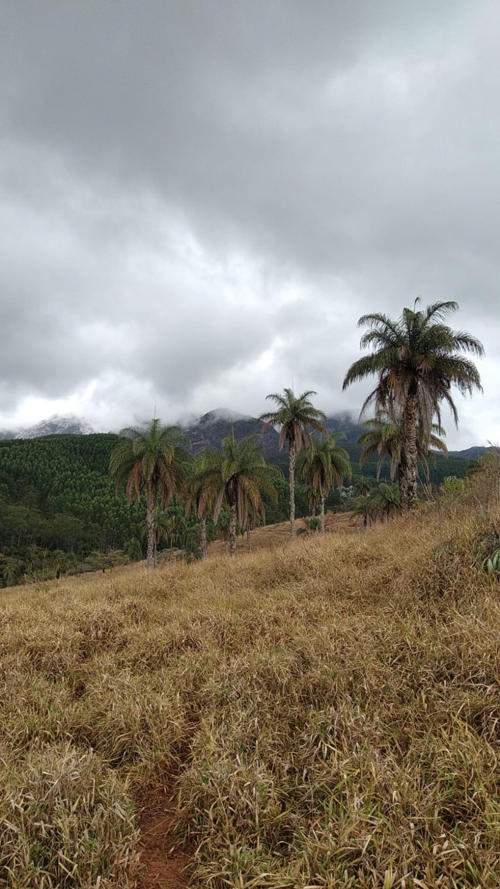 Terreno à venda, 1200000m² - Foto 9