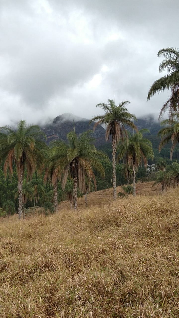 Terreno à venda, 1200000m² - Foto 10