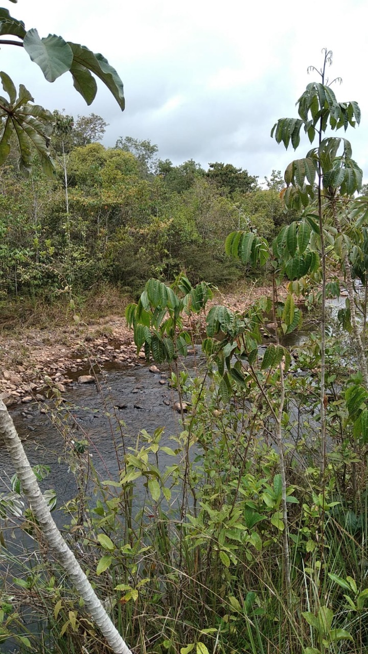 Terreno à venda, 1200000m² - Foto 14