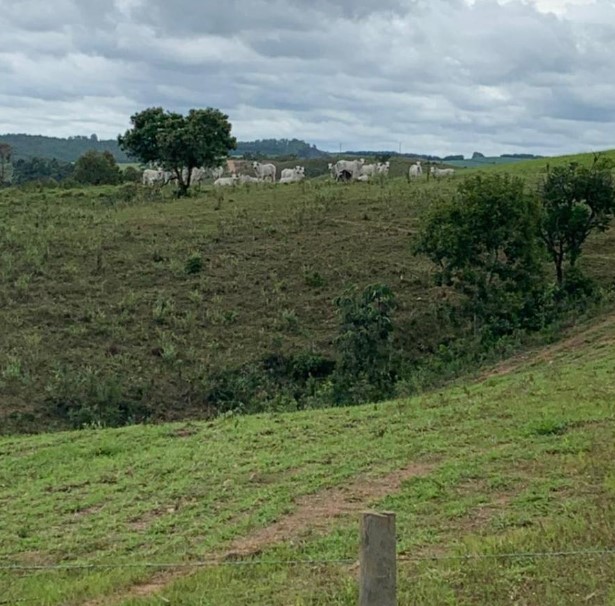 Chácara à venda com 4 quartos, 1190000m² - Foto 8