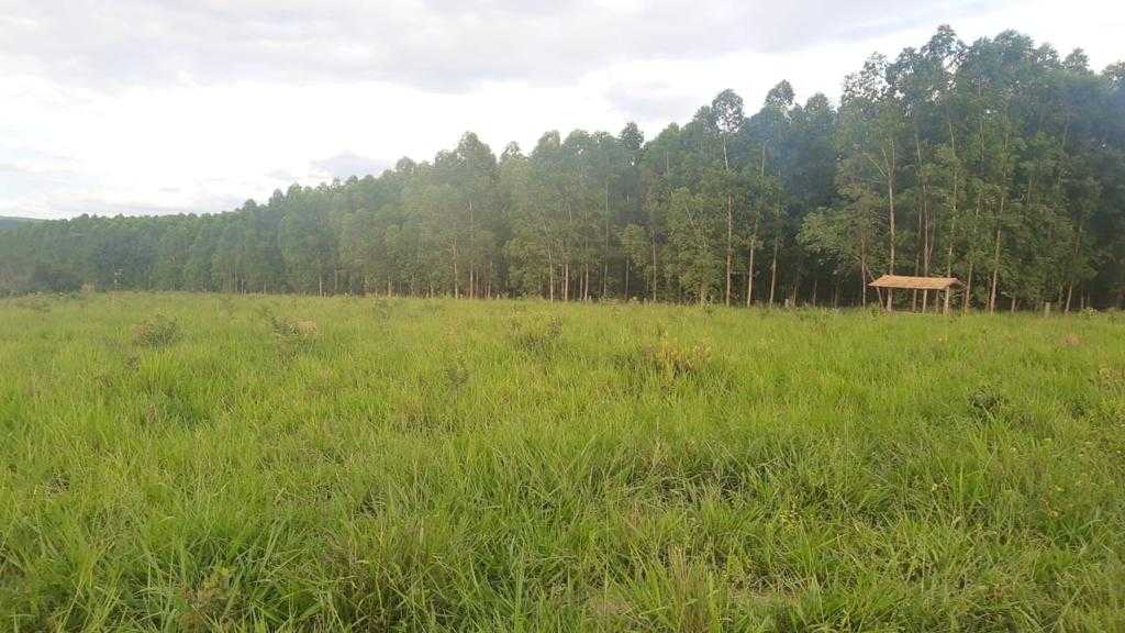 Chácara à venda com 3 quartos, 7580000m² - Foto 8