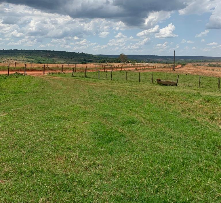 Chácara à venda com 3 quartos, 7580000m² - Foto 3