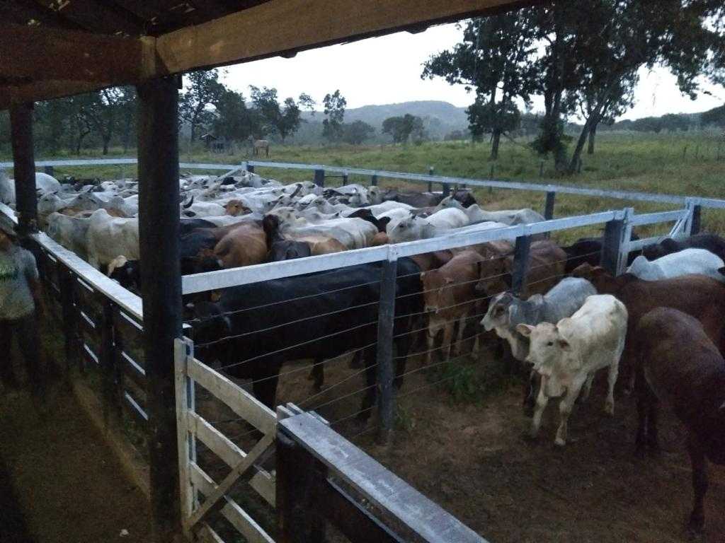 Chácara à venda com 3 quartos, 7580000m² - Foto 21