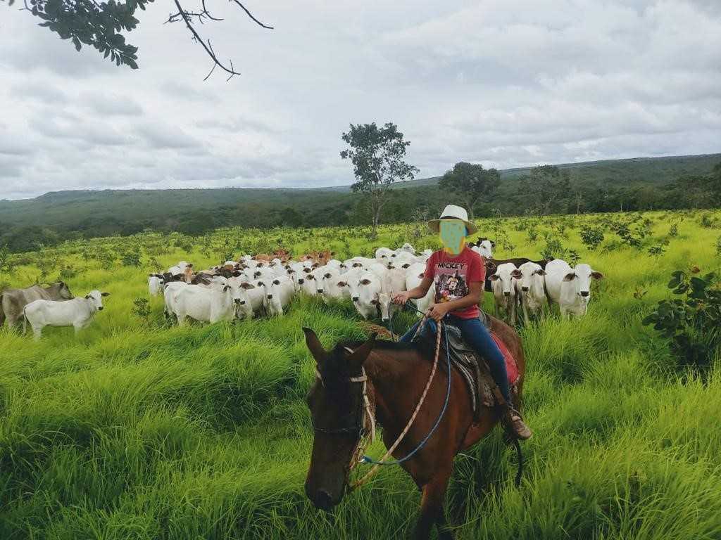 Chácara à venda com 3 quartos, 7580000m² - Foto 7