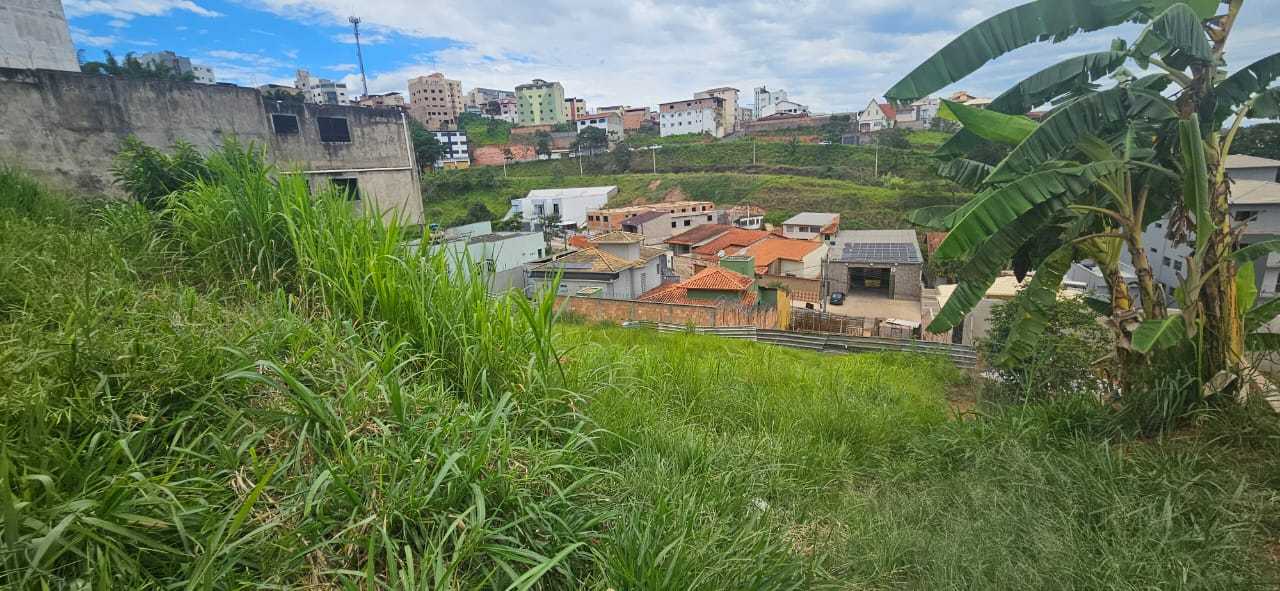 Terreno à venda, 367m² - Foto 7