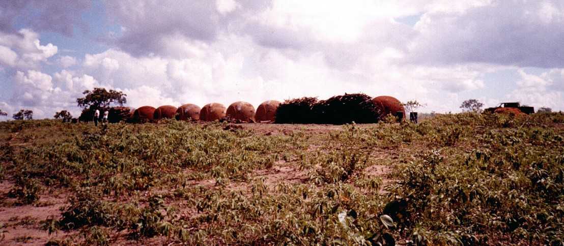 Chácara à venda com 3 quartos, 15480000m² - Foto 8