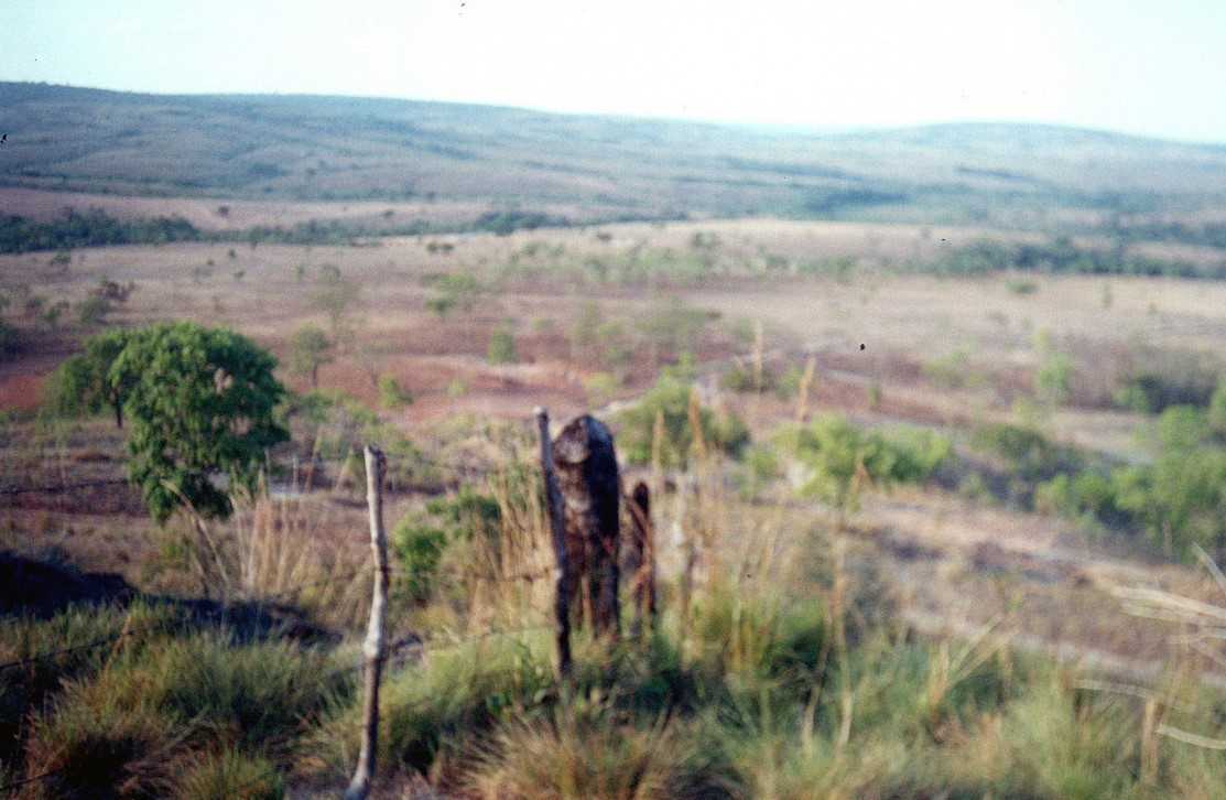 Chácara à venda com 3 quartos, 15480000m² - Foto 11