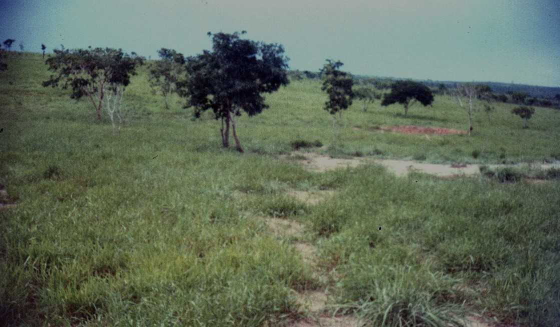 Chácara à venda com 3 quartos, 15480000m² - Foto 1