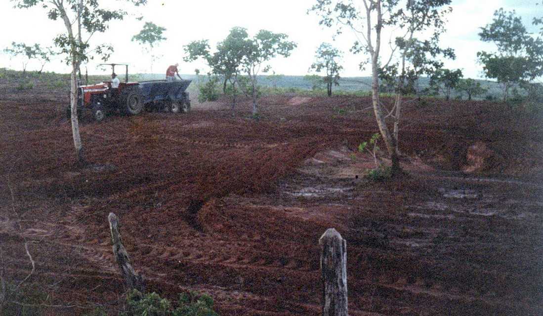 Chácara à venda com 3 quartos, 15480000m² - Foto 5