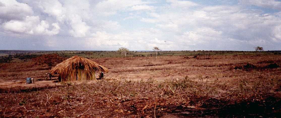 Chácara à venda com 3 quartos, 15480000m² - Foto 10