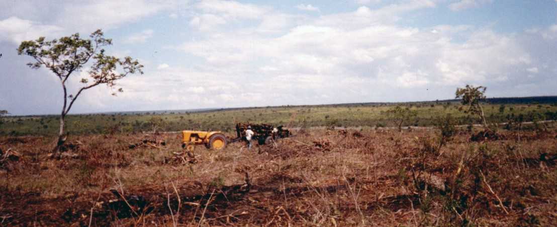 Chácara à venda com 3 quartos, 15480000m² - Foto 13