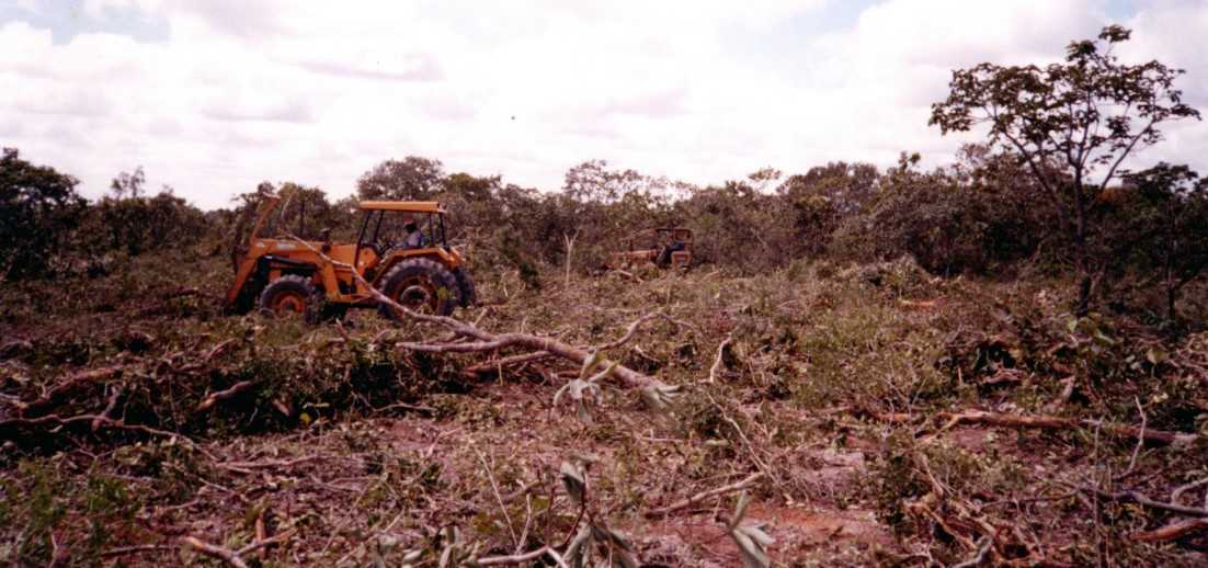 Chácara à venda com 3 quartos, 15480000m² - Foto 14