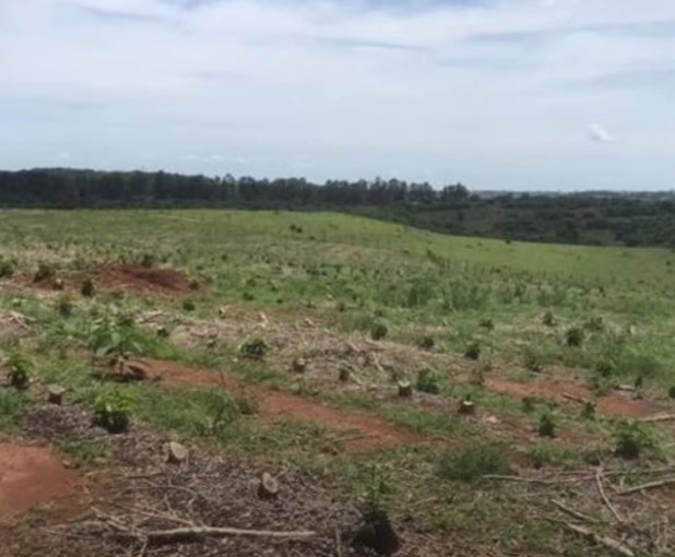 Chácara à venda com 2 quartos, 530000m² - Foto 5