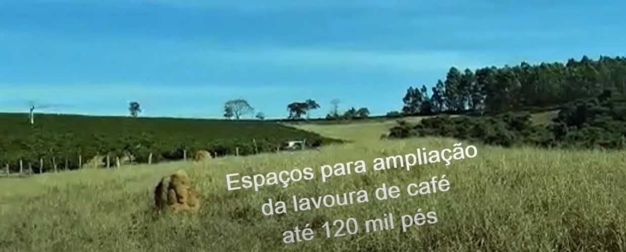 Chácara à venda com 2 quartos, 530000m² - Foto 3