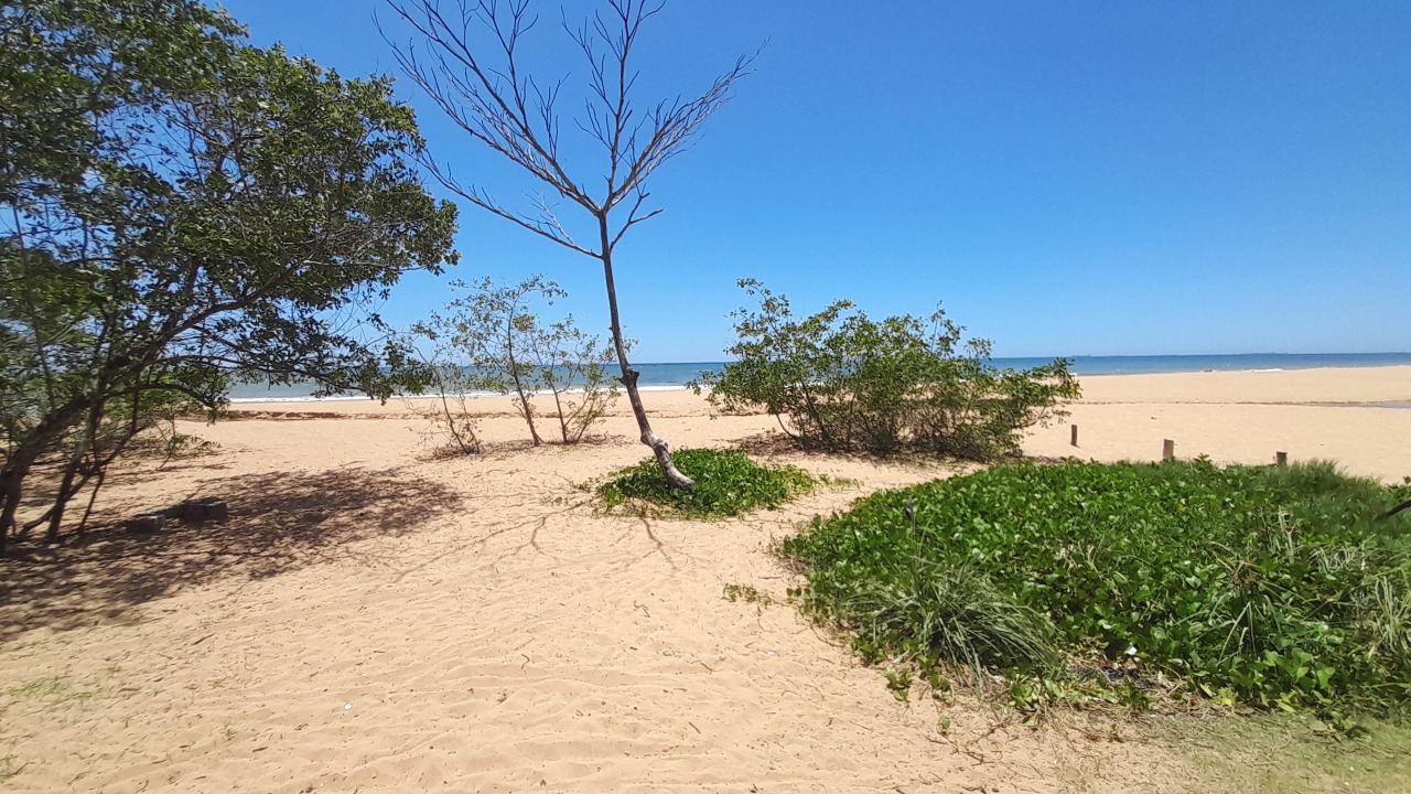 Terreno à venda, 2200m² - Foto 2