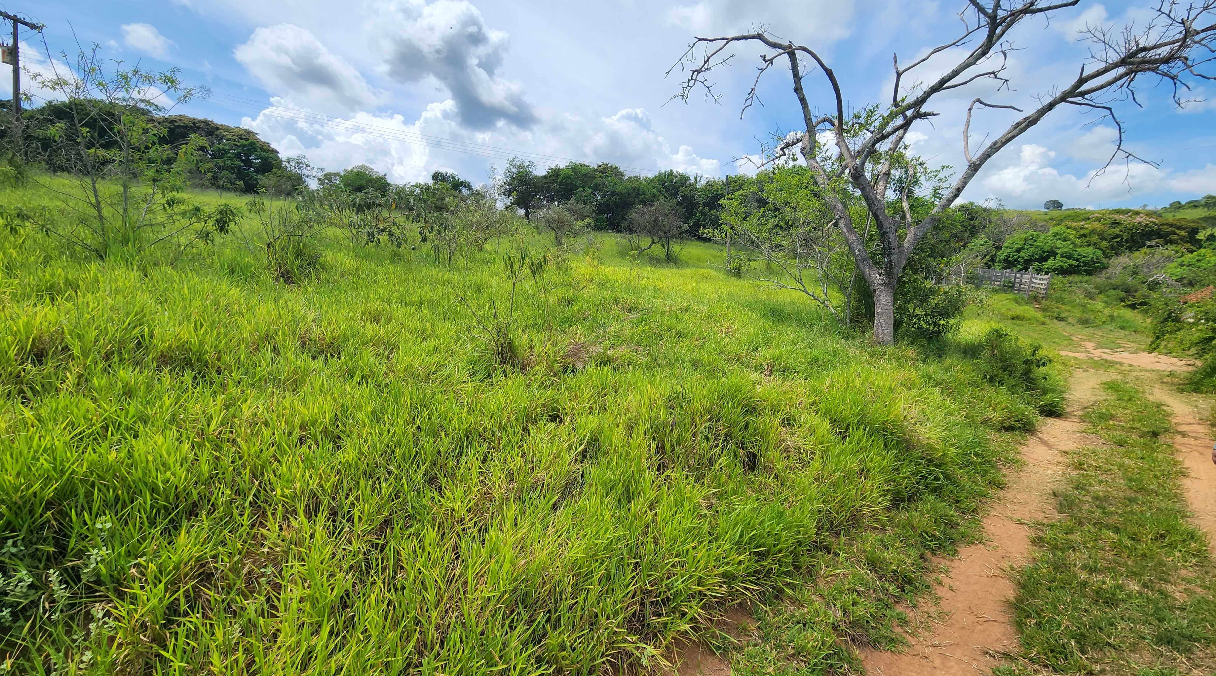 Chácara à venda com 1 quarto, 1210000m² - Foto 18