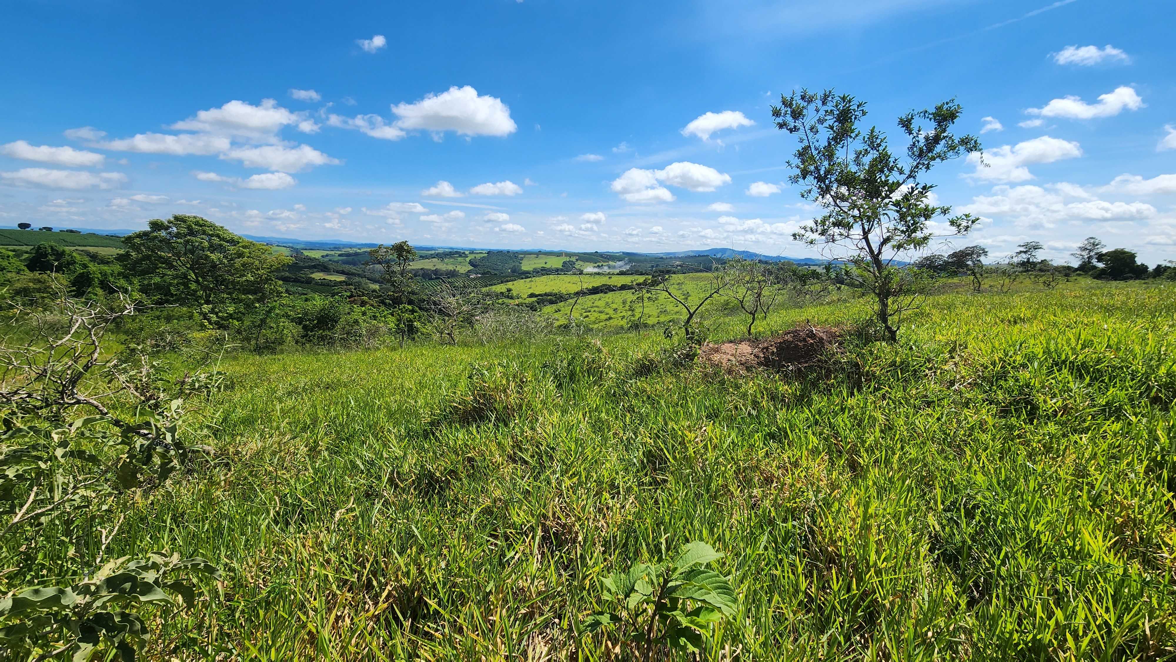 Chácara à venda com 1 quarto, 1210000m² - Foto 7