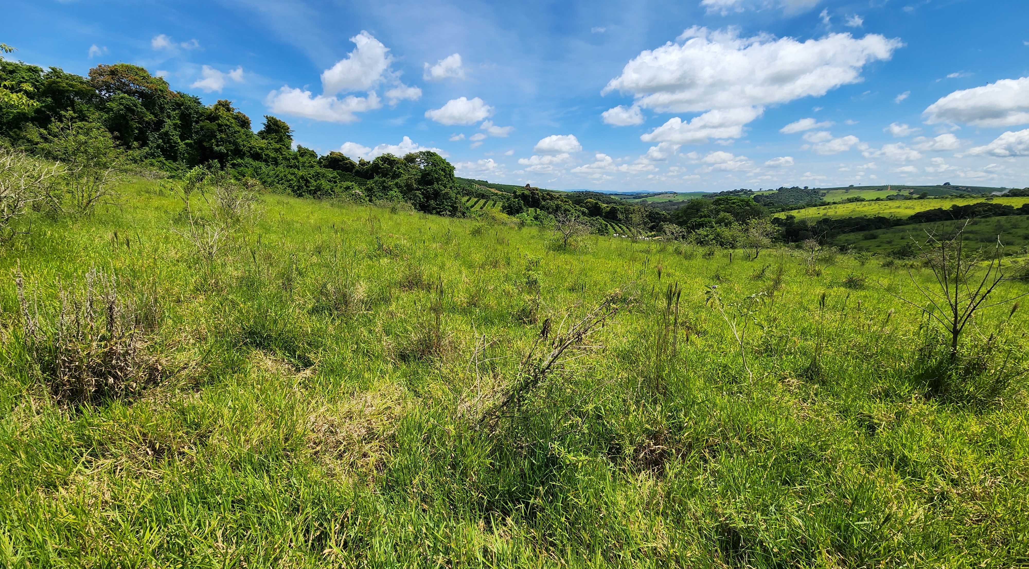 Chácara à venda com 1 quarto, 1210000m² - Foto 1