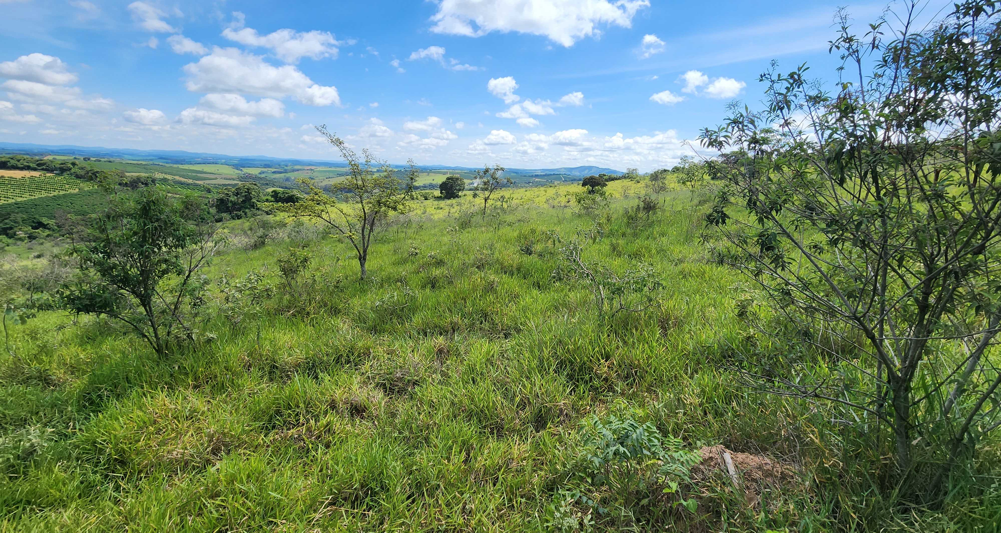 Chácara à venda com 1 quarto, 1210000m² - Foto 9