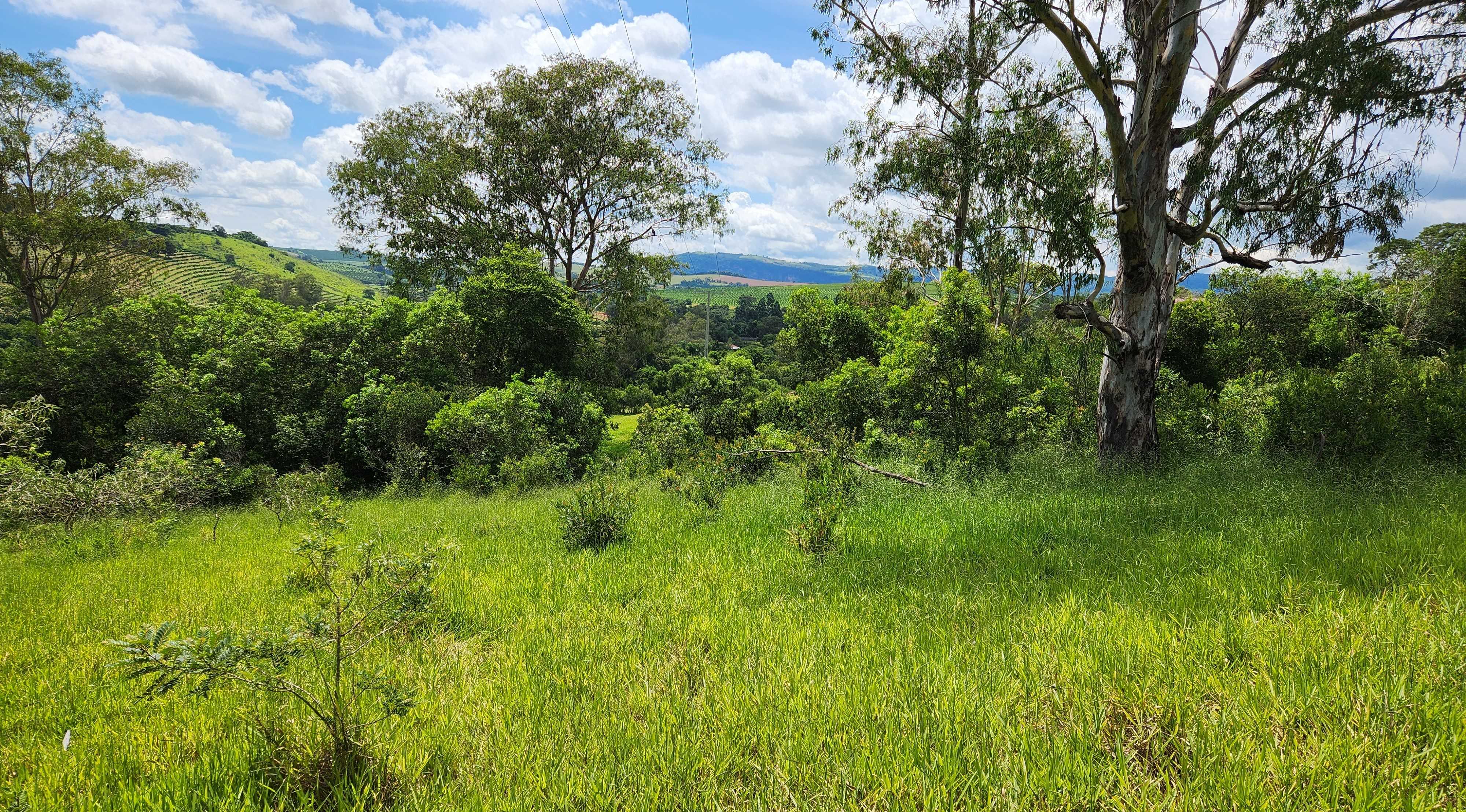 Chácara à venda com 1 quarto, 1210000m² - Foto 16