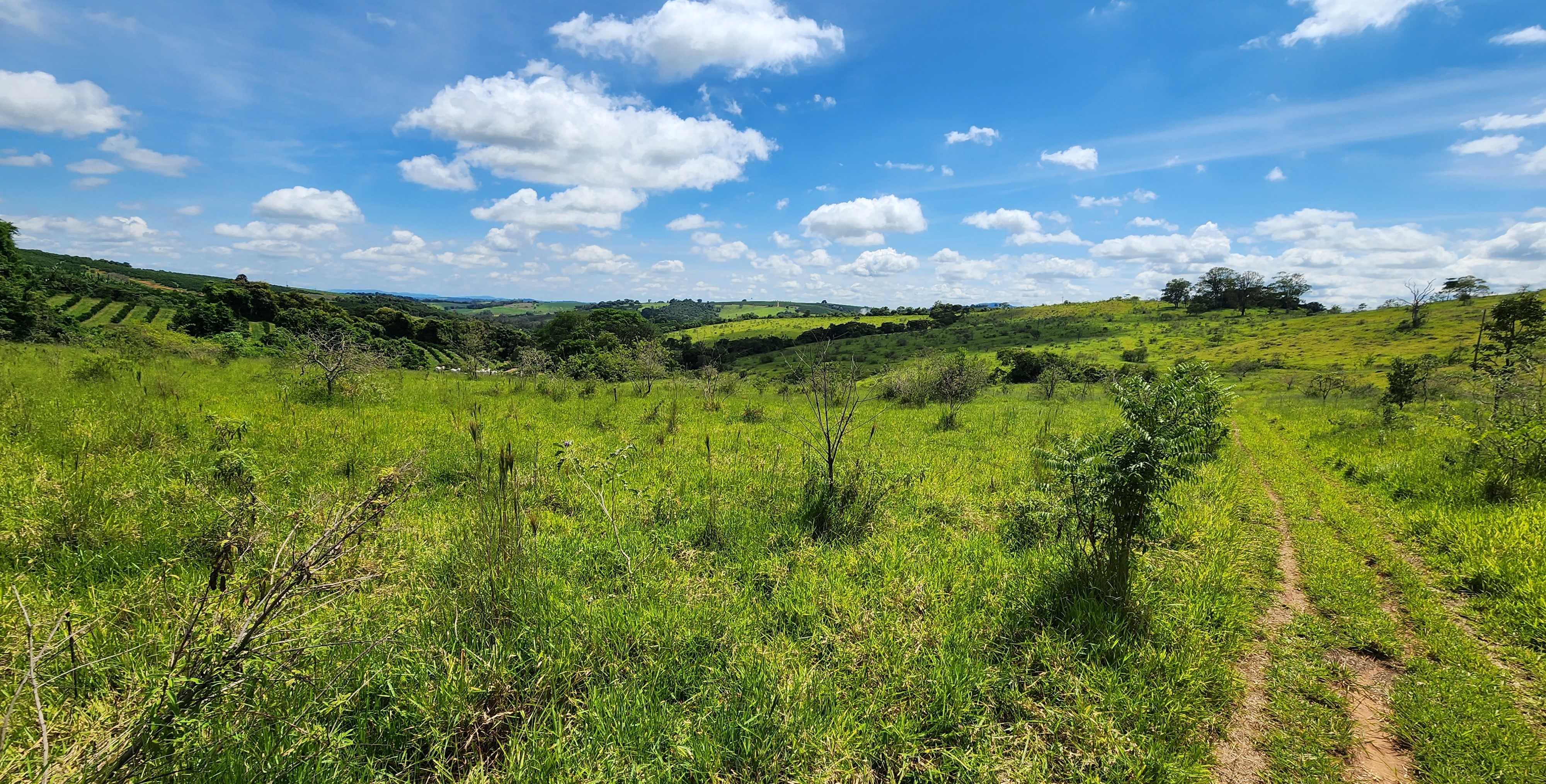 Chácara à venda com 1 quarto, 1210000m² - Foto 2