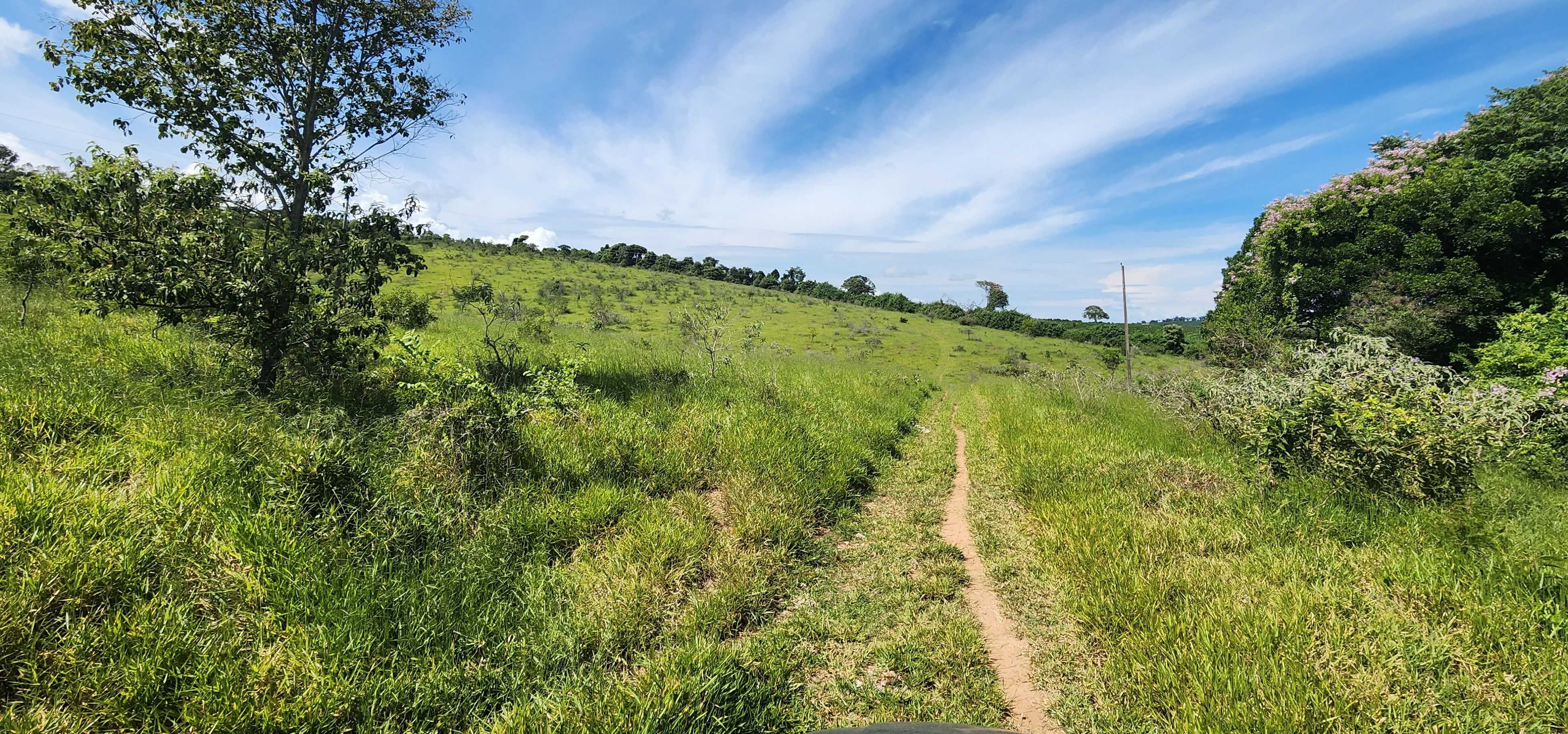 Chácara à venda com 1 quarto, 1210000m² - Foto 5