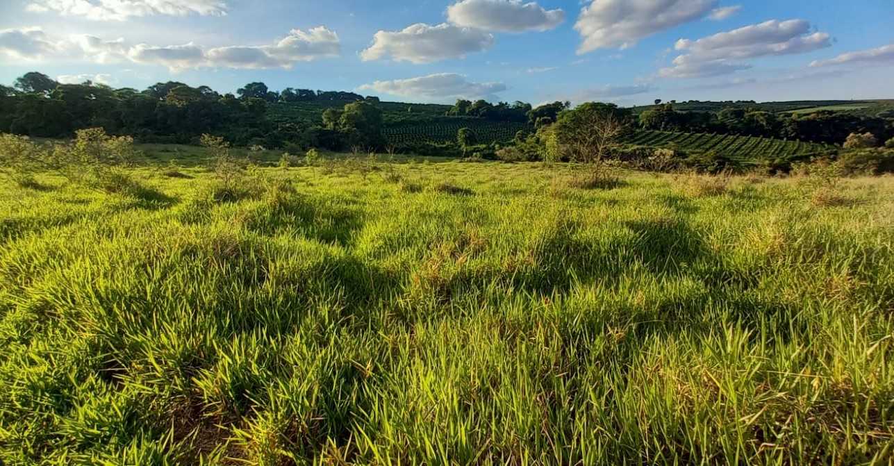 Chácara à venda com 1 quarto, 1210000m² - Foto 4