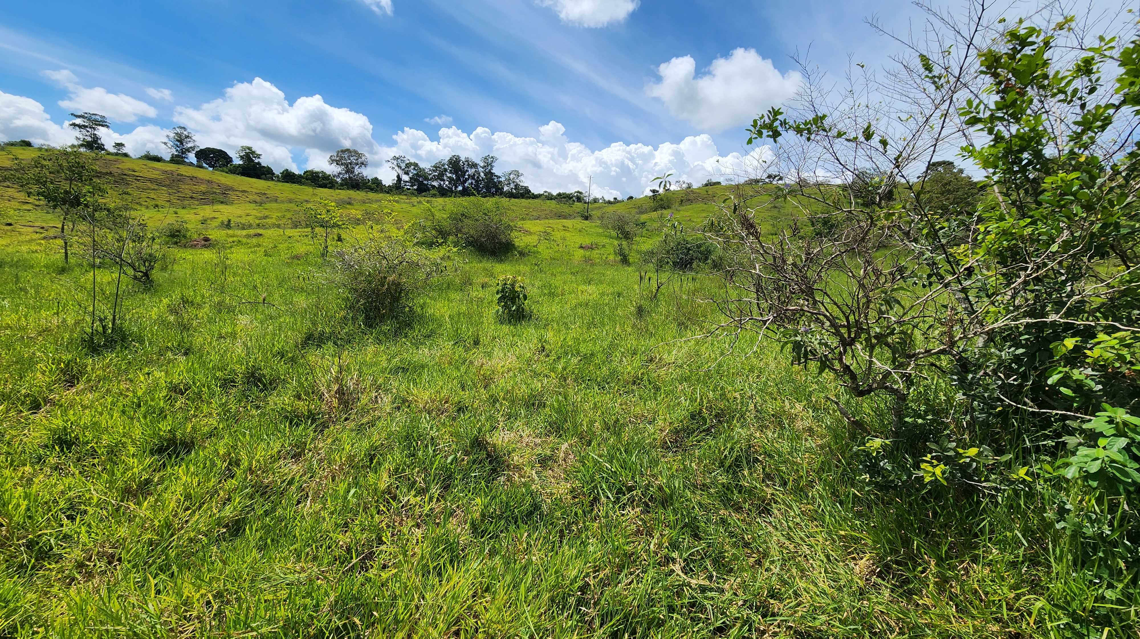 Chácara à venda com 1 quarto, 1210000m² - Foto 10