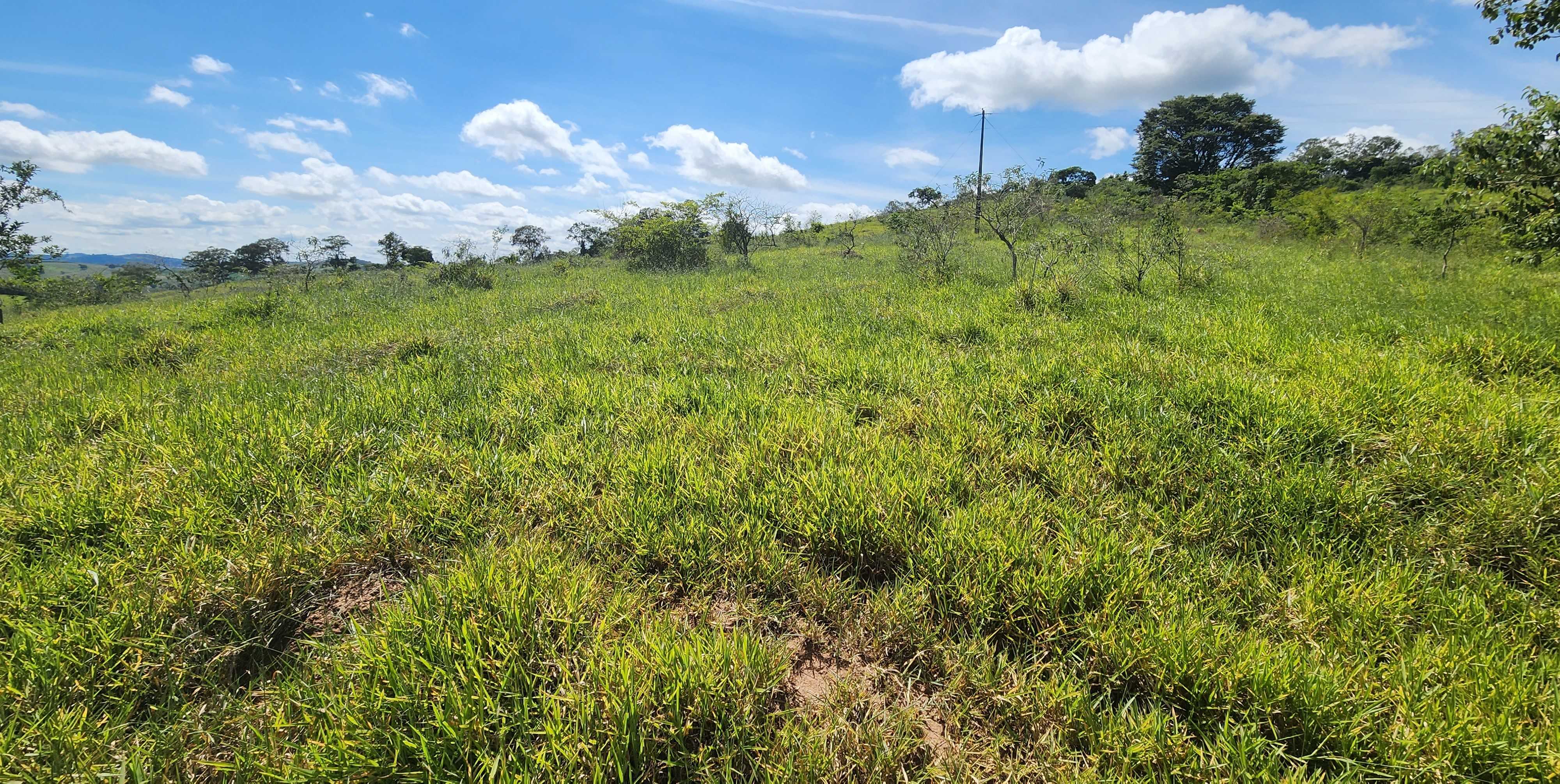 Chácara à venda com 1 quarto, 1210000m² - Foto 6