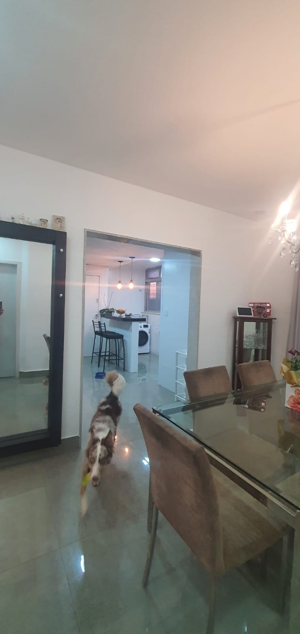 Apartamento à venda com 3 quartos, 115m² - Foto 15