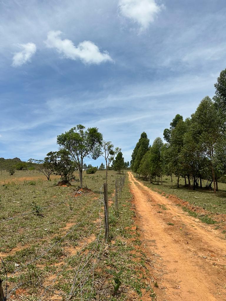 Terreno à venda, 75000m² - Foto 15