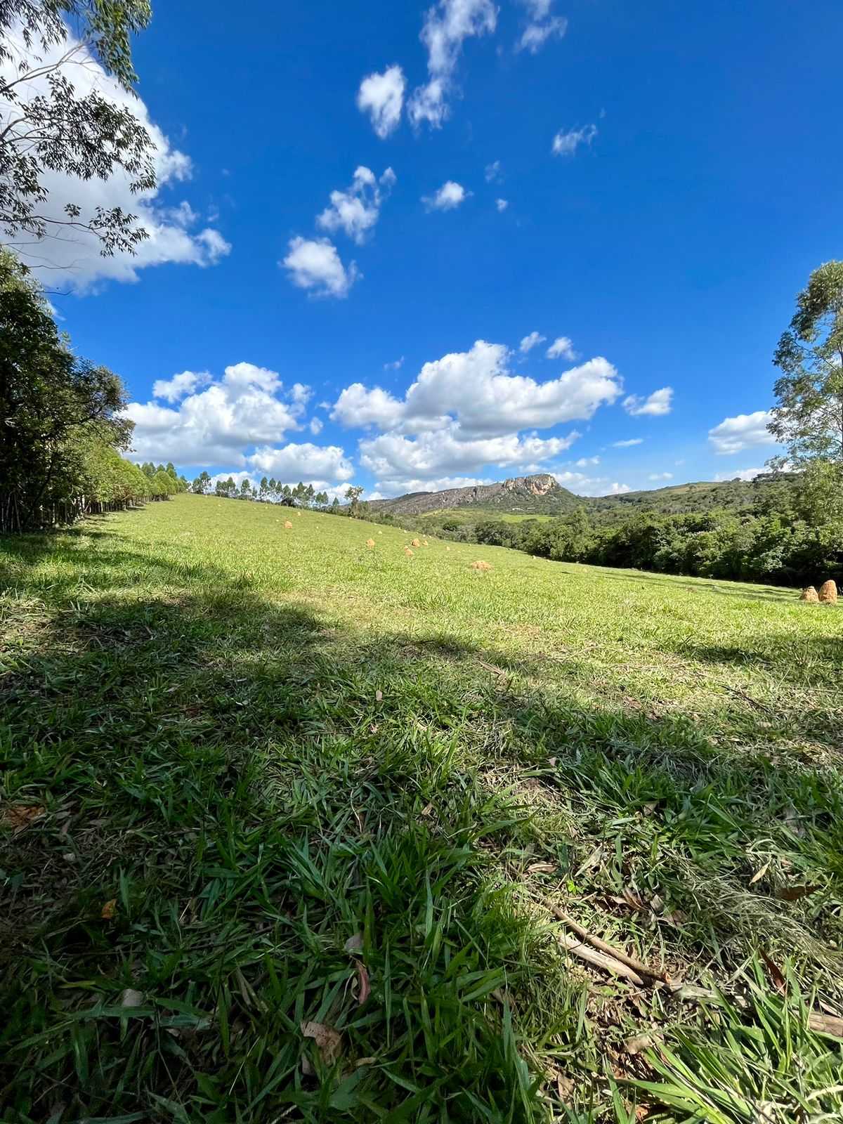 Terreno à venda, 75000m² - Foto 17