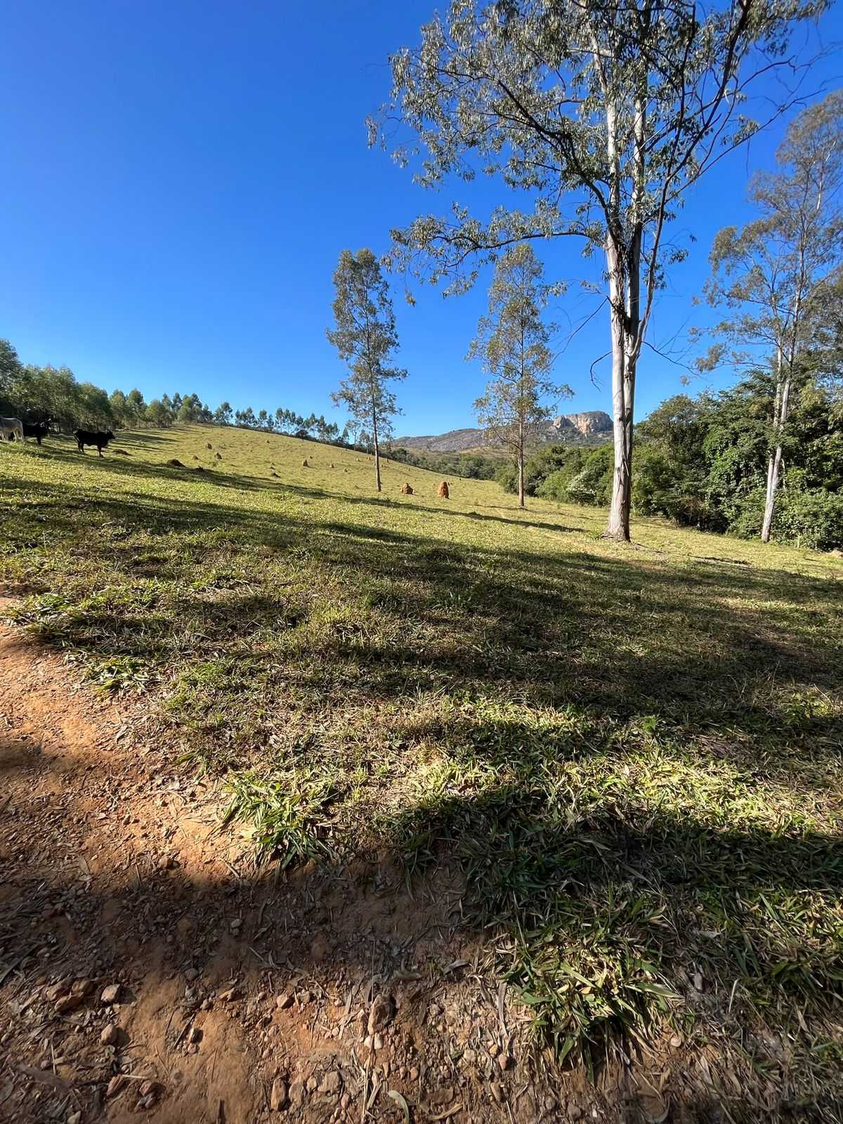 Terreno à venda, 75000m² - Foto 1