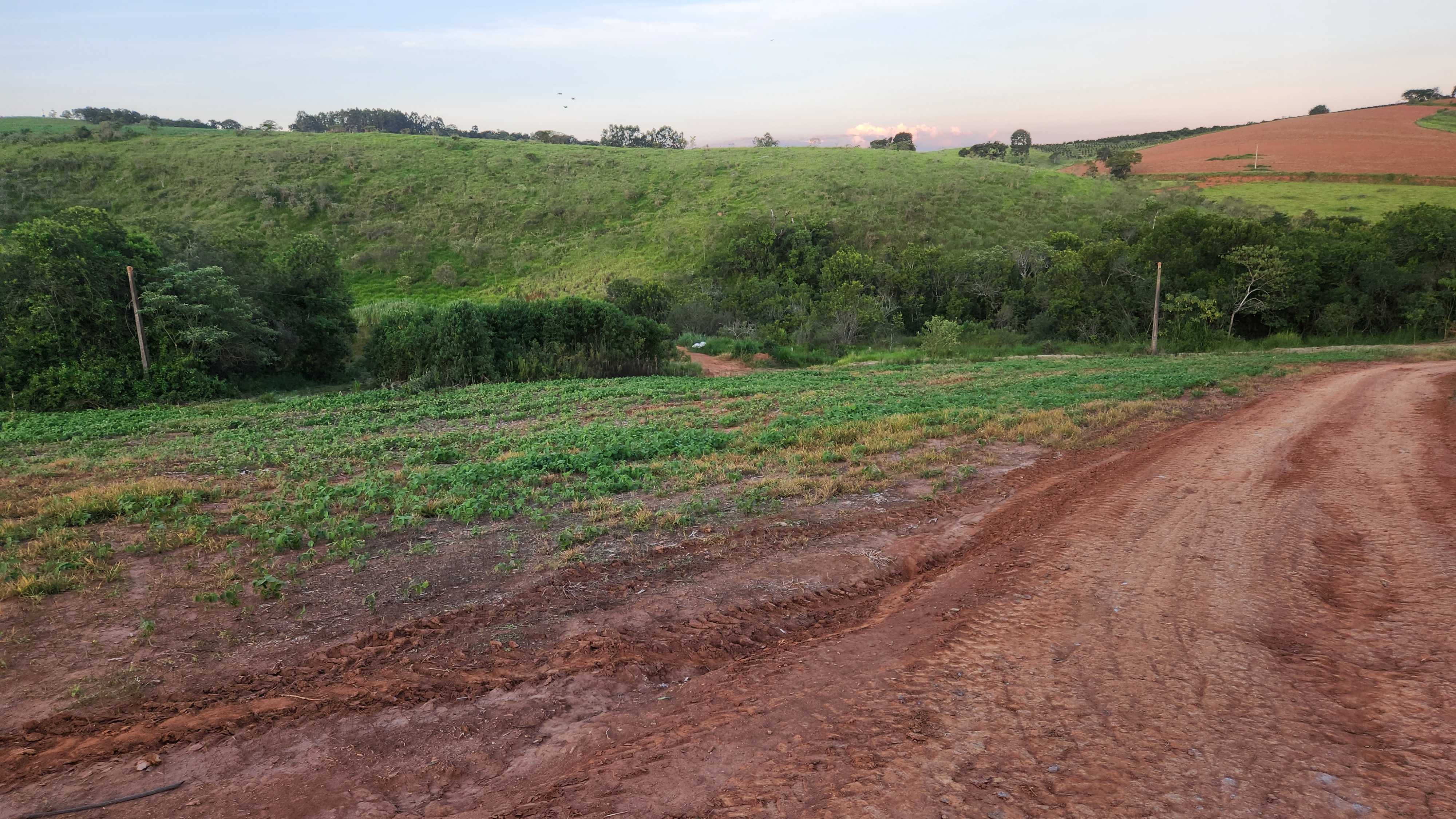 Chácara à venda com 3 quartos, 1127700m² - Foto 18