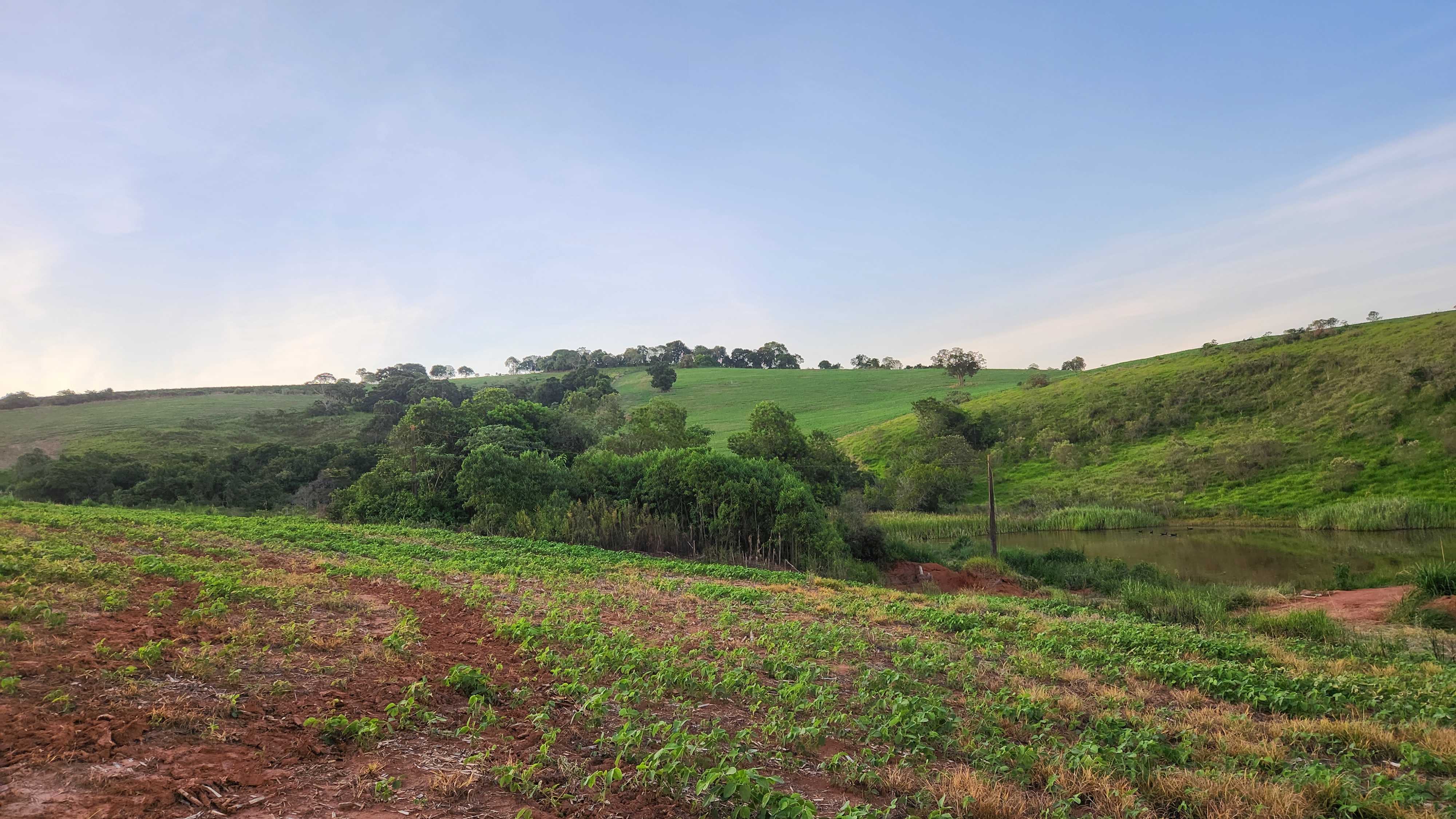 Chácara à venda com 3 quartos, 1127700m² - Foto 13