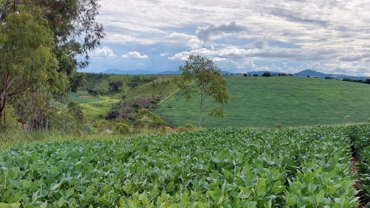 Chácara à venda com 3 quartos, 2662000m² - Foto 19