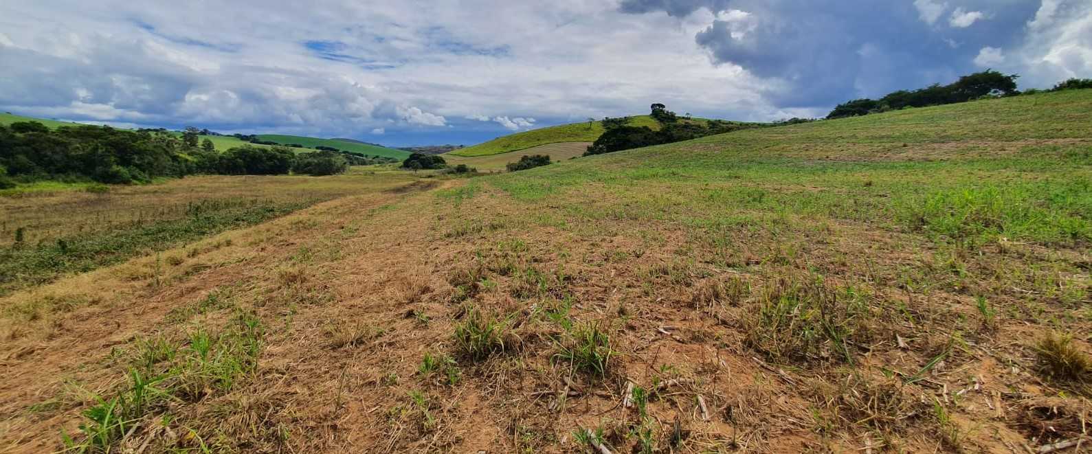 Chácara à venda com 3 quartos, 2662000m² - Foto 6