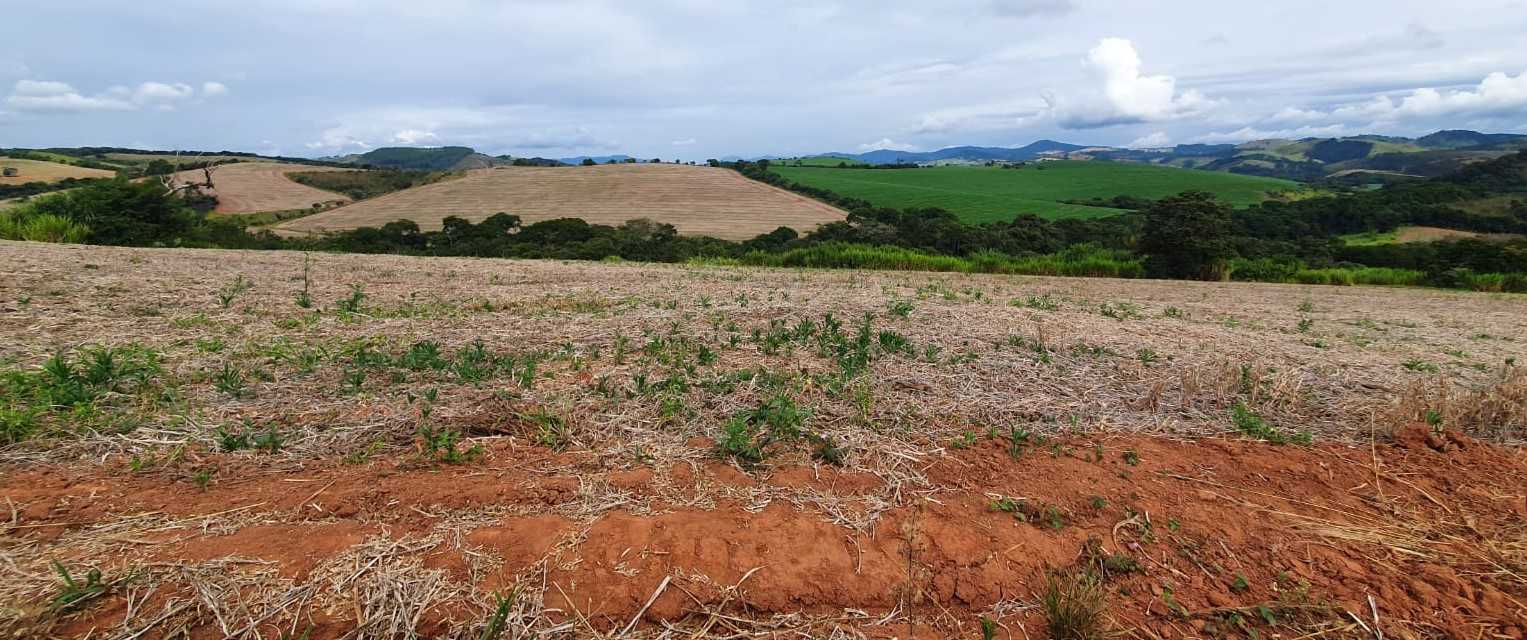 Chácara à venda com 3 quartos, 2662000m² - Foto 11