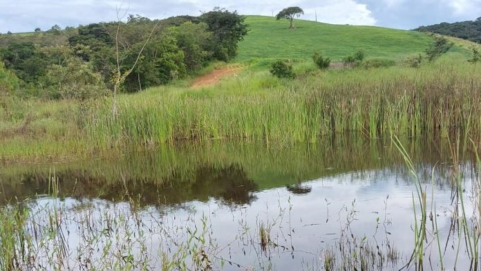 Chácara à venda com 3 quartos, 2662000m² - Foto 22