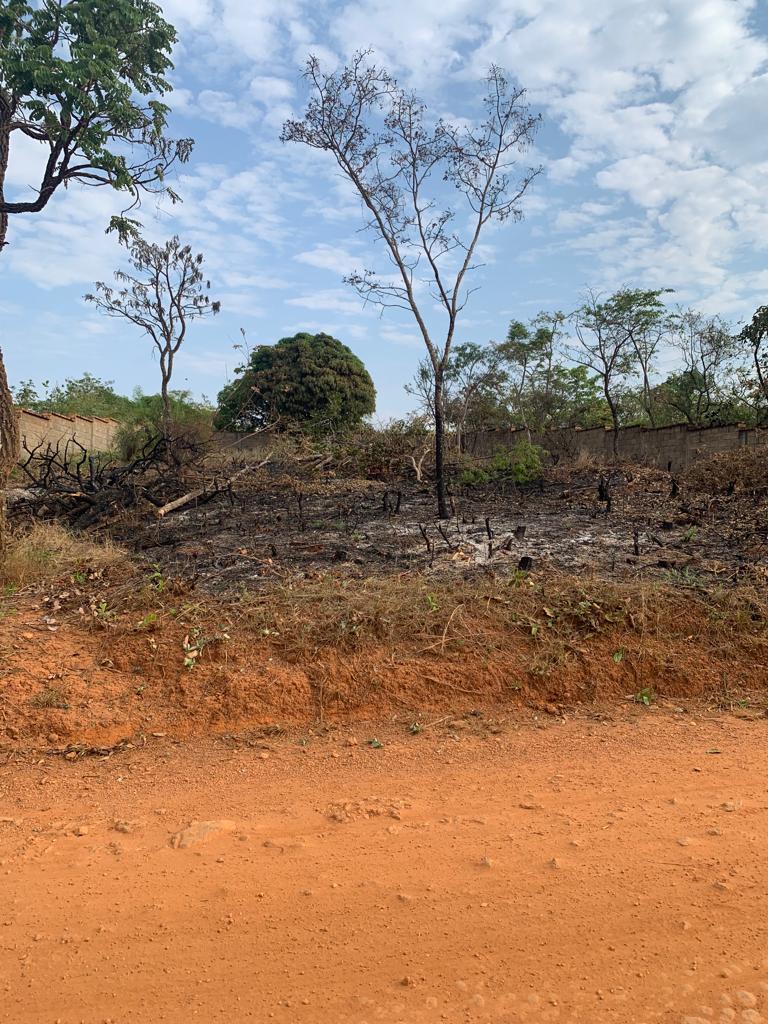 Terreno à venda, 1000m² - Foto 3