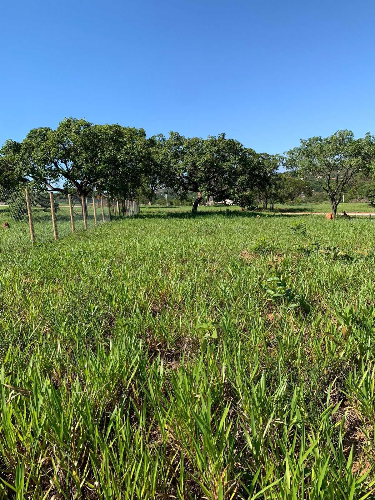 Terreno à venda, 1000m² - Foto 1