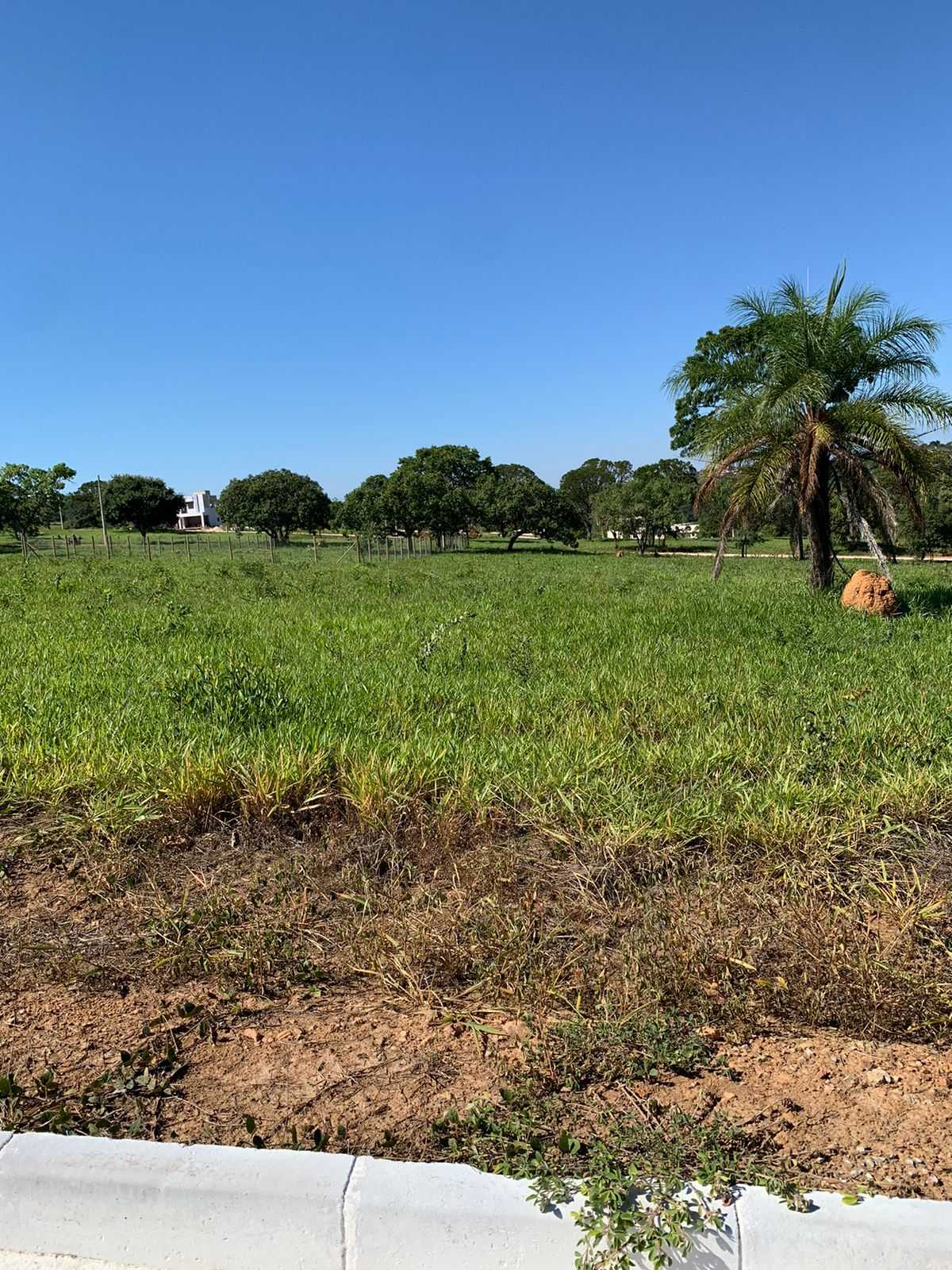 Terreno à venda, 1000m² - Foto 3