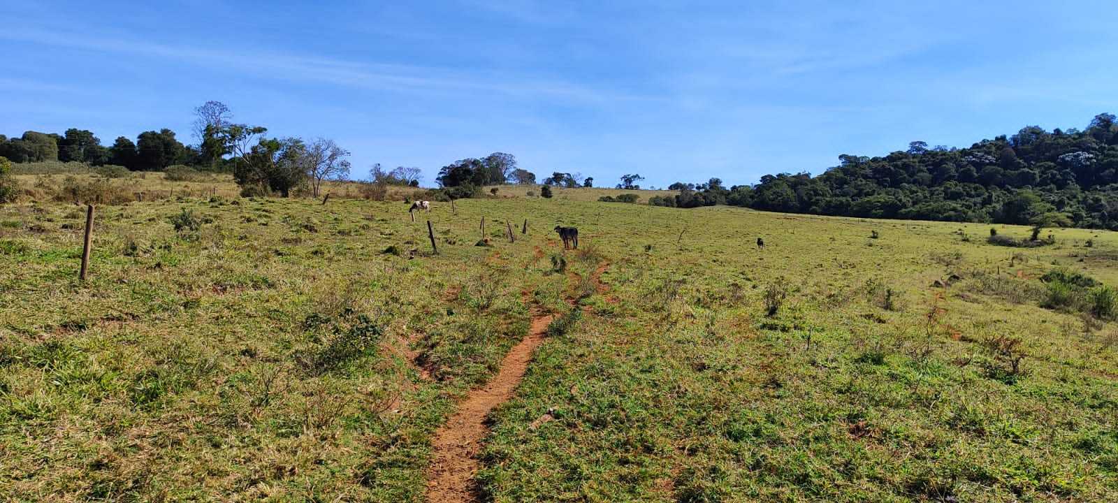 Chácara à venda com 2 quartos, 556600m² - Foto 15